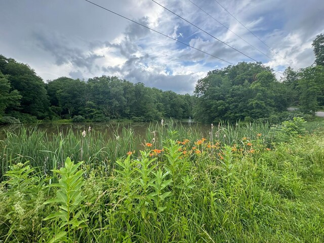 6598 Jeff Ln, Athens, OH 45701 - view of wooded area