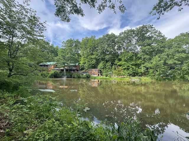 6598 Jeff Ln, Athens, OH 45701 - water view featuring a forest