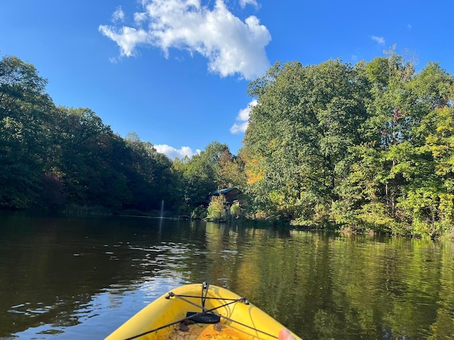 6598 Jeff Ln, Athens, OH 45701 - dock with a water view and a wooded view