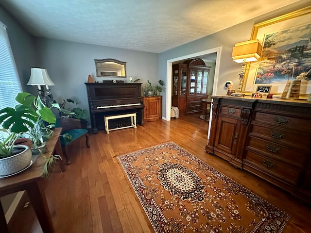 6869 Cedar Brook Pl, New Albany, OH 43054 - living area with hardwood / wood-style floors, a textured ceiling, and plenty of natural light