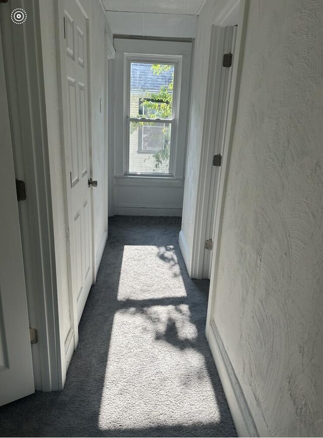 833 W Mulberry St, Springfield, OH 45506 - photo 13