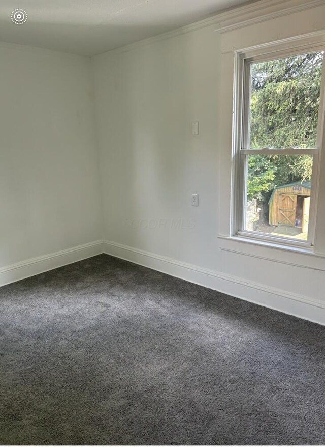 833 W Mulberry St, Springfield, OH 45506 - photo 15
