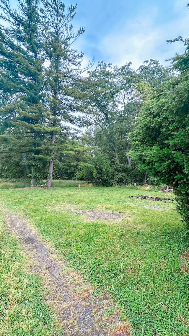 409 Lawrence St, Bellefontaine, OH 43311 - view of yard