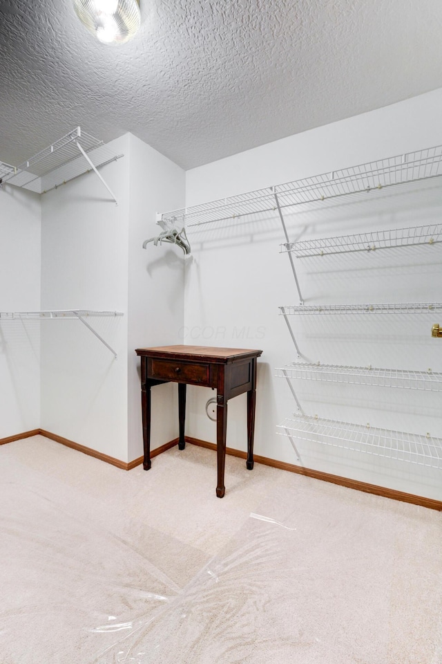 151 Cameron Ridge Dr, Columbus, OH 43235 - walk in closet featuring carpet flooring