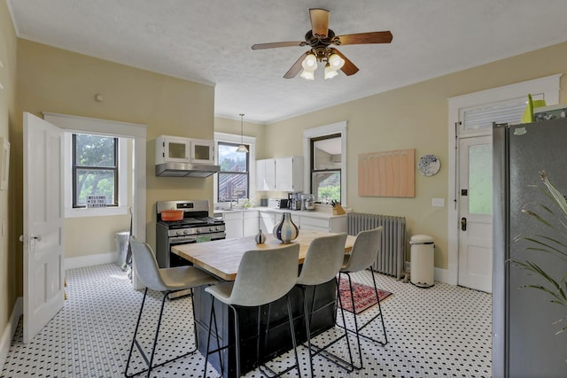 300 E Main St, Somerset, OH 43783 - dining area with radiator heating unit, plenty of natural light, and a ceiling fan