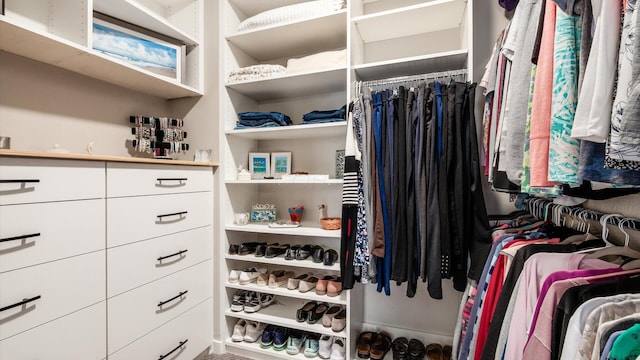 7087 Ribault Dr NW, Pickerington, OH 43147 - view of spacious closet