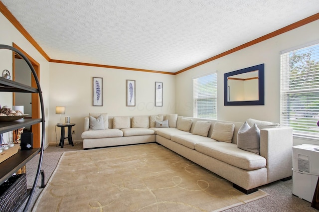 5656 Flynn Ct, Dublin, OH 43016 - photo 3