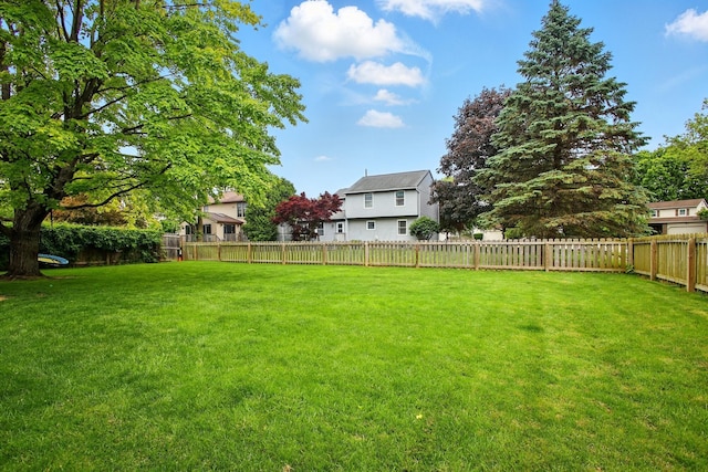 5656 Flynn Ct, Dublin, OH 43016 - photo 22