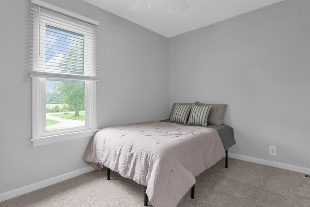 2635 Main St, Powell, OH 43065 - bedroom with multiple windows, carpet flooring, and a ceiling fan