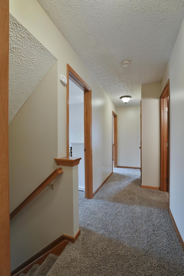 2885 Wynneleaf St, Hilliard, OH 43026 - hall featuring a textured ceiling and carpet floors