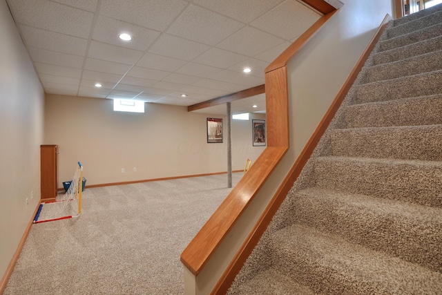 2885 Wynneleaf St, Hilliard, OH 43026 - staircase featuring carpet floors, a drop ceiling, and recessed lighting