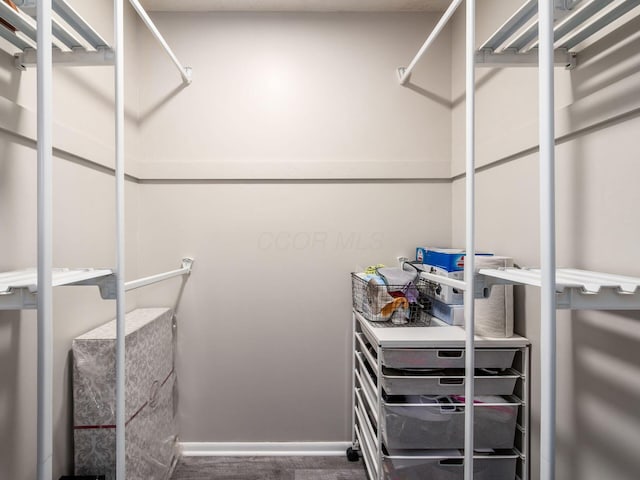 5247 Heathmoor St, Columbus, OH 43235 - view of spacious closet