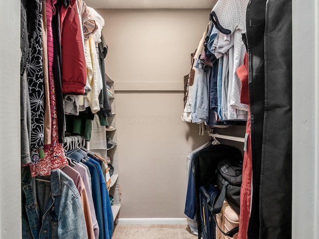 5247 Heathmoor St, Columbus, OH 43235 - walk in closet featuring carpet