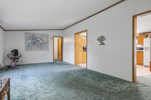 11791 Coontz Rd, Orient, OH 43146 - unfurnished living room featuring crown molding, carpet, lofted ceiling, and a textured ceiling