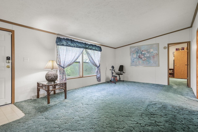 11791 Coontz Rd, Orient, OH 43146 - unfurnished room featuring lofted ceiling, ornamental molding, a textured ceiling, and carpet floors