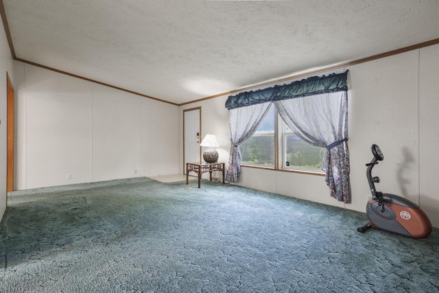 11791 Coontz Rd, Orient, OH 43146 - empty room featuring ornamental molding, a textured ceiling, and carpet flooring