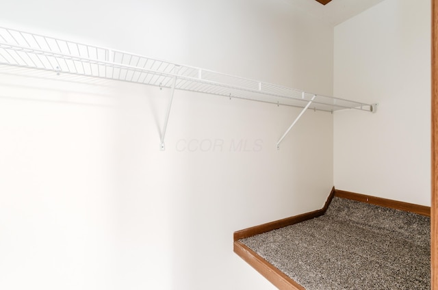 4963 Buck Thorn Ln, Columbus, OH 43220 - spacious closet with carpet floors