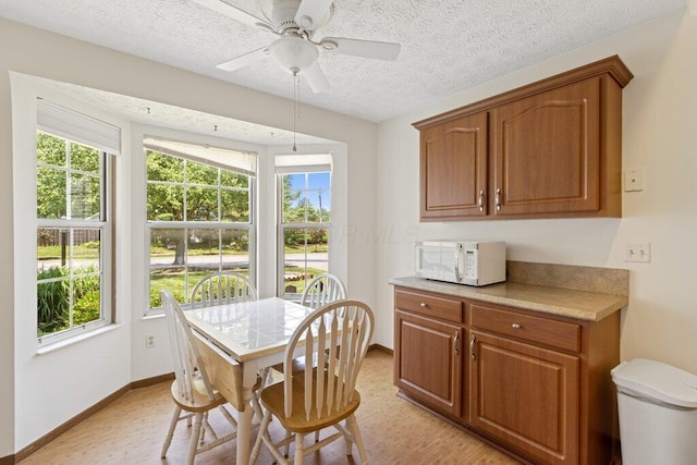 8000 Leaview Dr, Columbus, OH 43235 - dining space featuring plenty of natural light, a textured ceiling, a ceiling fan, and light wood-type flooring