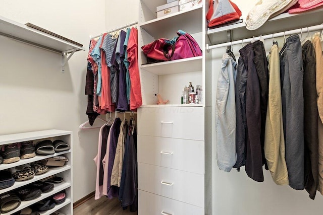 8000 Leaview Dr, Columbus, OH 43235 - walk in closet with wood finished floors