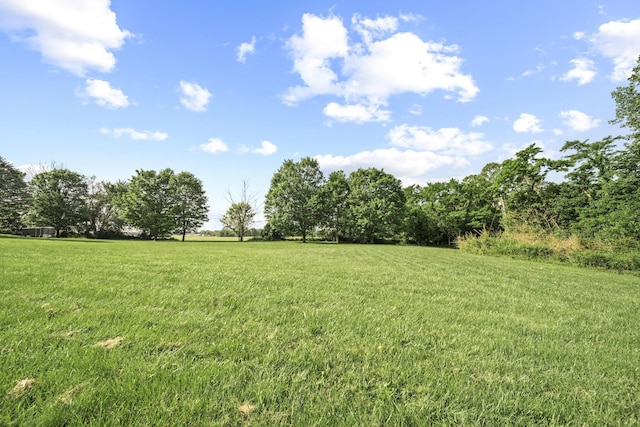 8149 Outville Rd SW, Pataskala, OH 43062 - view of grassy yard