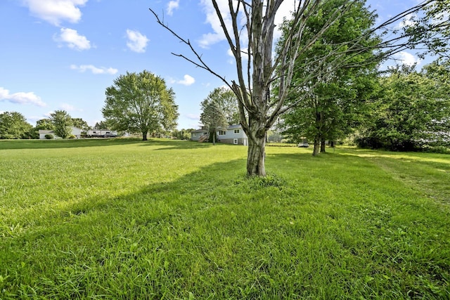 8149 Outville Rd SW, Pataskala, OH 43062 - view of green lawn