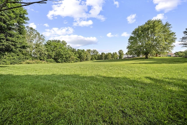 8149 Outville Rd SW, Pataskala, OH 43062 - view of green lawn