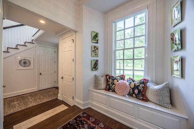 4791 Yantis Dr, New Albany, OH 43054 - mudroom featuring dark wood-type flooring and plenty of natural light