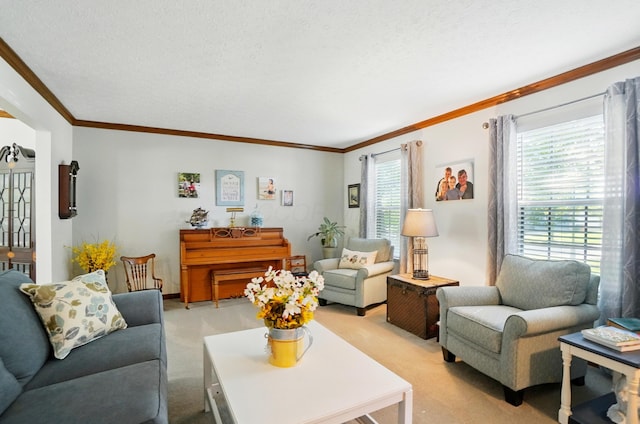 3383 Parkbrook Dr, Grove City, OH 43123 - living room with light carpet, crown molding, and a textured ceiling