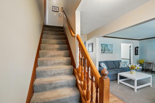 3383 Parkbrook Dr, Grove City, OH 43123 - stairway featuring wood finished floors and a textured ceiling