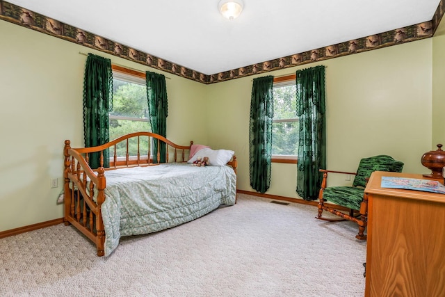 51801 State Route 671, Londonderry, OH 45647 - bedroom featuring carpet and multiple windows