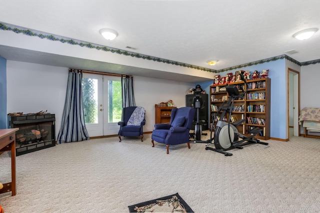 51801 State Route 671, Londonderry, OH 45647 - living area with carpet and french doors