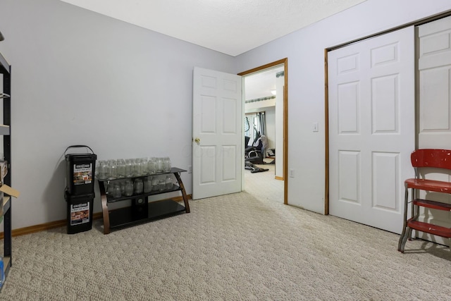 51801 State Route 671, Londonderry, OH 45647 - living area featuring carpet flooring