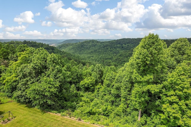 51801 State Route 671, Londonderry, OH 45647 - view of mountain backdrop featuring a heavily wooded area