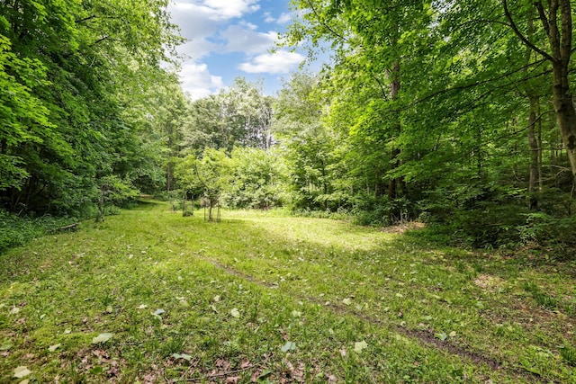 51801 State Route 671, Londonderry, OH 45647 - view of woods