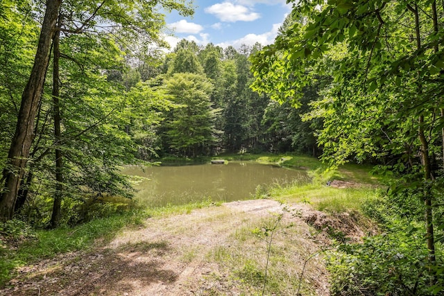 51801 State Route 671, Londonderry, OH 45647 - view of wooded area featuring a water view