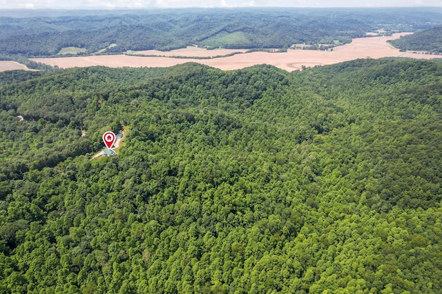 51801 State Route 671, Londonderry, OH 45647 - bird's eye view of a forest