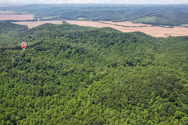 51801 State Route 671, Londonderry, OH 45647 - bird's eye view of a heavily wooded area
