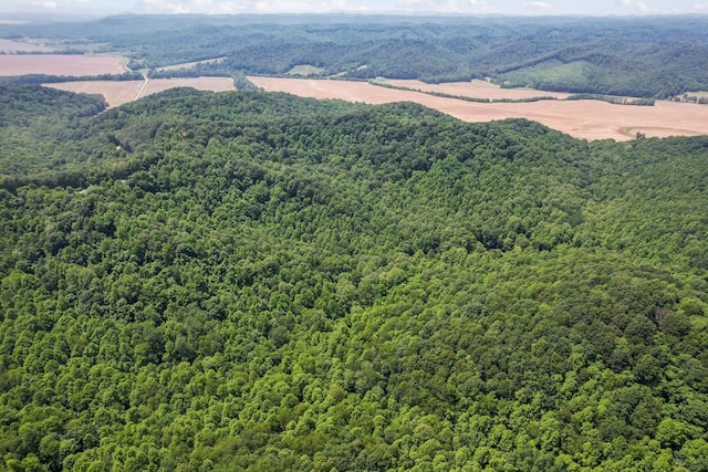 51801 State Route 671, Londonderry, OH 45647 - aerial view of a heavily wooded area