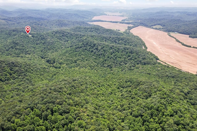 51801 State Route 671, Londonderry, OH 45647 - aerial view of a forest and mountains