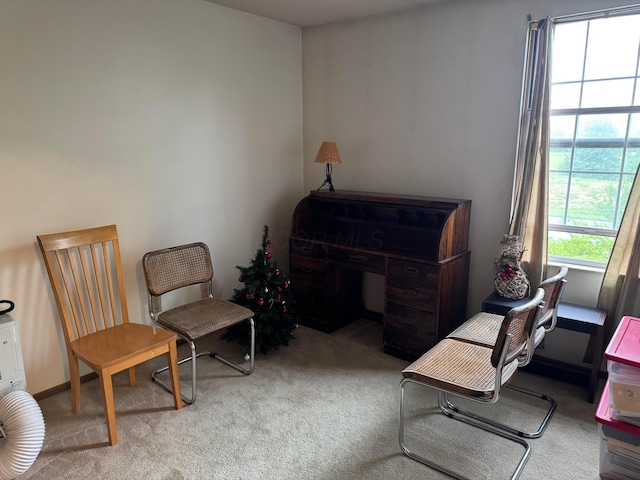 4830 Stoneybrook Blvd Unit 28E, Hilliard, OH 43026 - sitting room featuring carpet