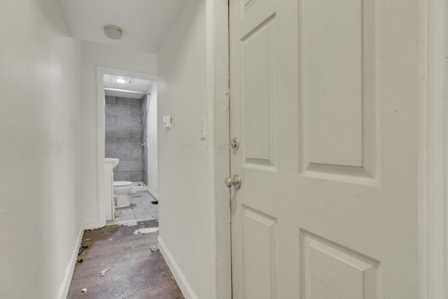 749-751 E Main St Unit 749, Columbus, OH 43205 - hall with dark wood-style flooring and baseboards