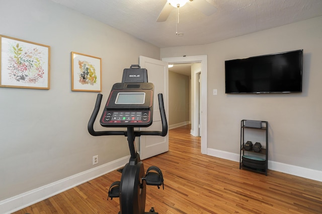 678 S Cassingham Rd, Columbus, OH 43209 - workout area featuring light wood-style flooring and a ceiling fan