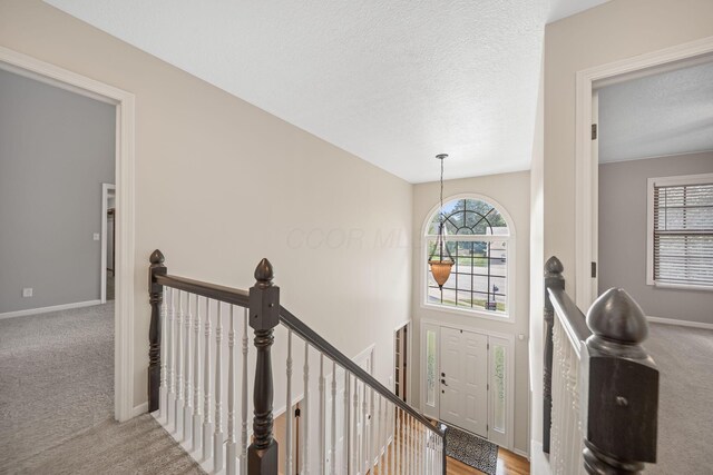 7424 Sand Spurrey Ct, Westerville, OH 43082 - photo 34