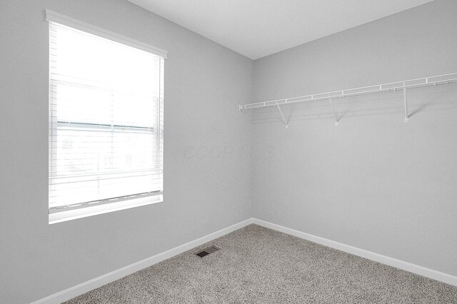 6643 Bowery Peak Ln, Westerville, OH 43081 - photo 39