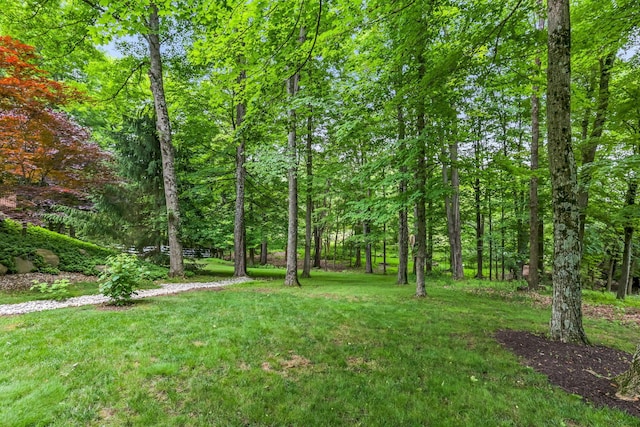 2211 Welsh Hills Rd NE, Granville, OH 43023 - view of grassy yard