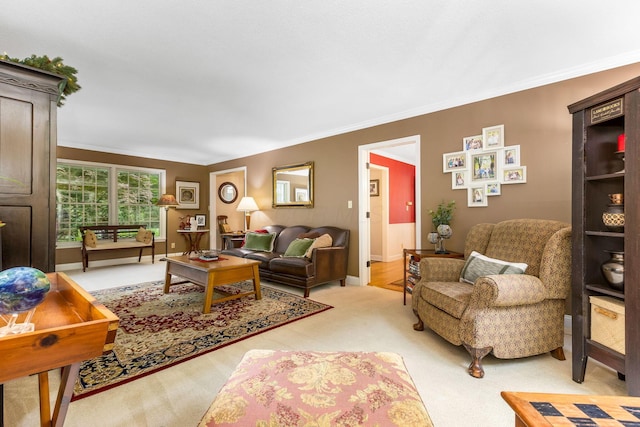 2211 Welsh Hills Rd NE, Granville, OH 43023 - living area featuring ornamental molding and light carpet