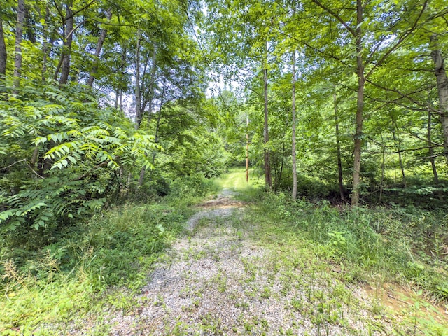 0 Cox, Vinton, OH 45686