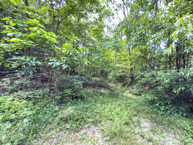 0 Cox, Vinton, OH 45686