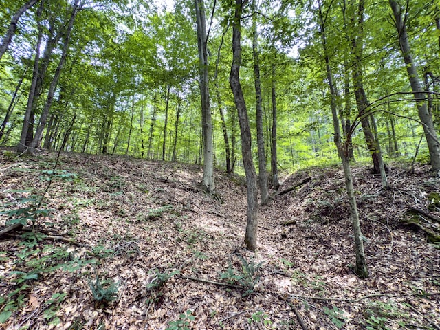 0 Cox, Vinton, OH 45686