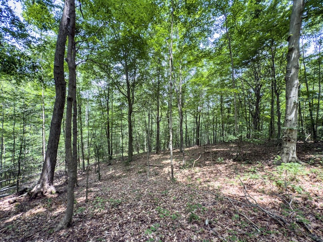 0 Cox, Vinton, OH 45686